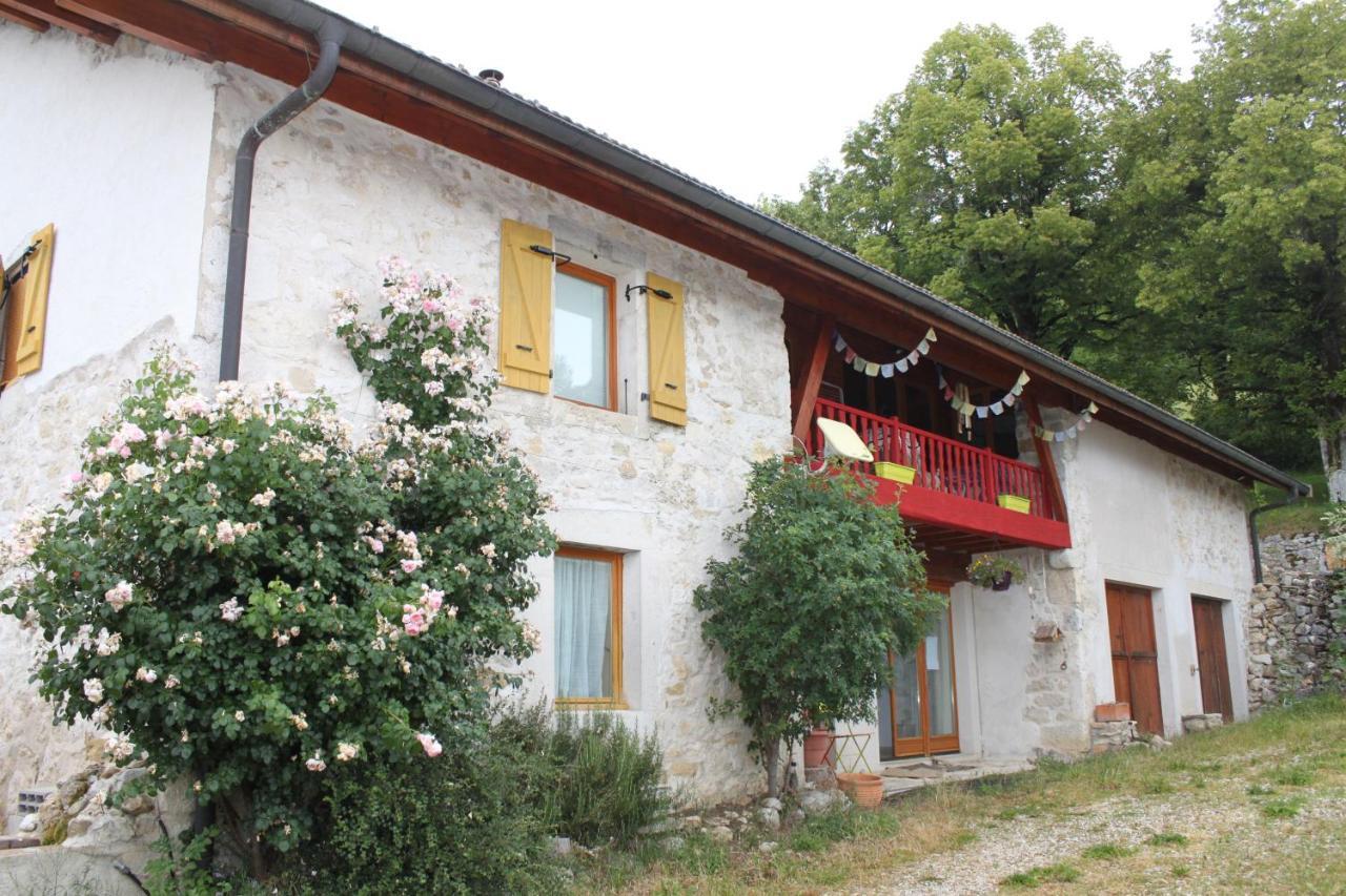 Bed and Breakfast Chez Louve Bleue Hotonnes Exterior foto