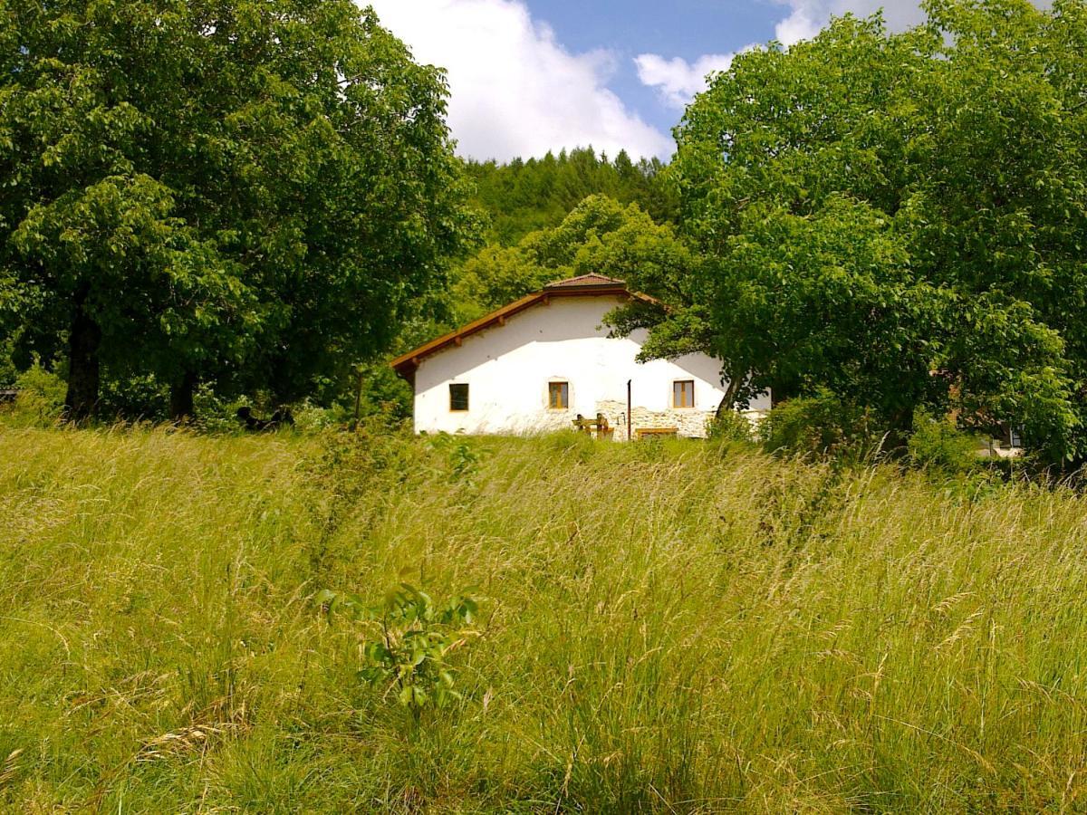 Bed and Breakfast Chez Louve Bleue Hotonnes Exterior foto
